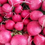 Jak získat úrodu ředkviček v září, když sousedé už kopou brambory: druhý život krátkého dne jak-ziskat-urodu-redkvicek-v-zari-kdyz-sousede-uz-kopou.jpg